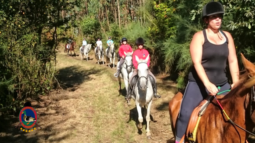rutas-a-caballo_clases-de-equitacion_hipica-la-coruna_os-parrulos_caballos_r25
