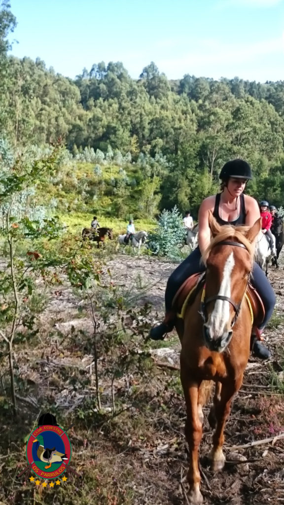 rutas-a-caballo_clases-de-equitacion_hipica-la-coruna_os-parrulos_caballos_r8